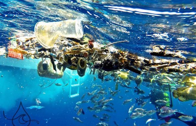 脱プラスチックへの挑戦」の前半: スクラップマスターのブログ