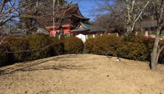富士山本宮浅間大社.png