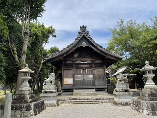 IMG-7904.jpg