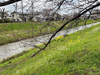 IMG_8458.jpeg